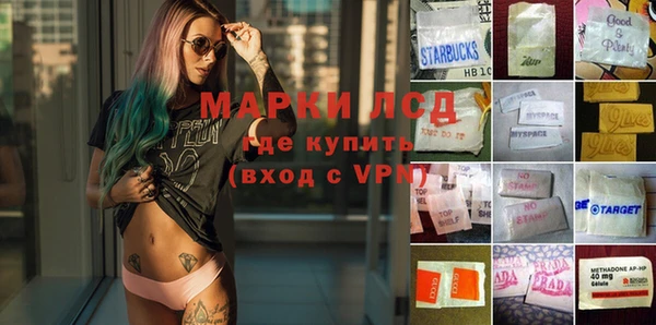 ГАЛЛЮЦИНОГЕННЫЕ ГРИБЫ Армянск